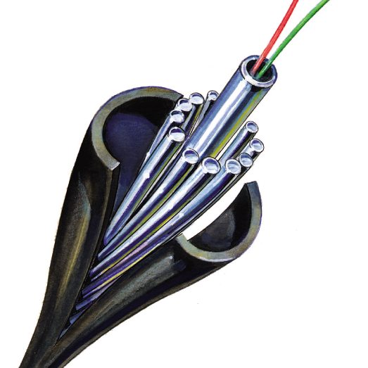 optical-detector-fiber-system-3